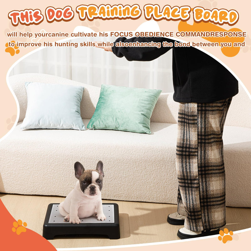 Conjunto Chunful de dos plataformas para sesiones de entrenamiento canino.
