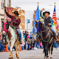 Chunful patrones atractivos con bandera americana para caballos