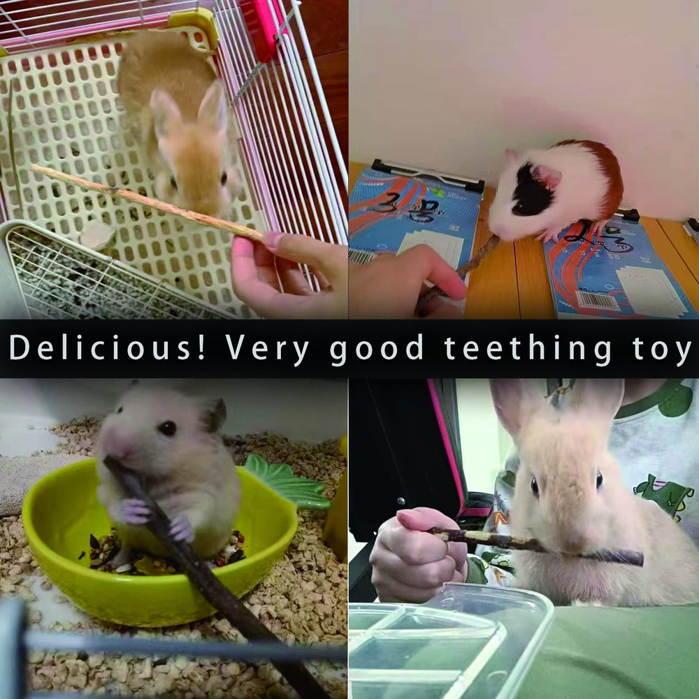 CHUHUAYUAN Manzana orgánica, sin pesticidas, opción natural para mascotas.