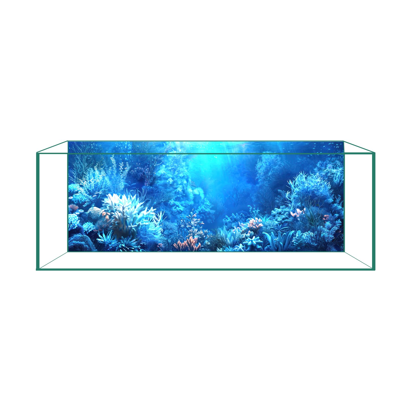 Fondo CICK SEED azul profundo para acuario realza colores de los peces.