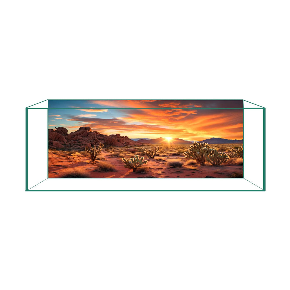 Fondo desierto ocaso para terrario de CICK SEED, ideal para dragón barbudo.