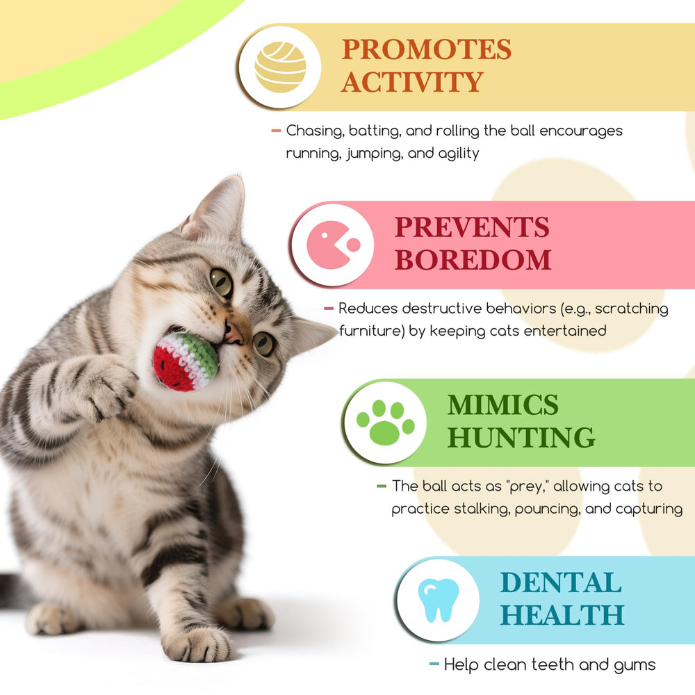 Bola Cipsken para cuidado dental y juego suave para gatitos.
