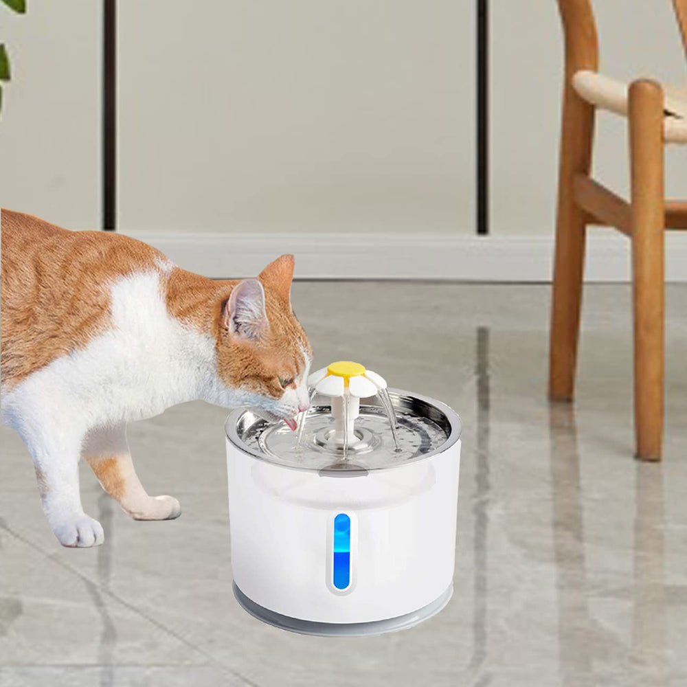 Cirfifth recommandations-entretien-filtre-chat pour une utilisation durable.