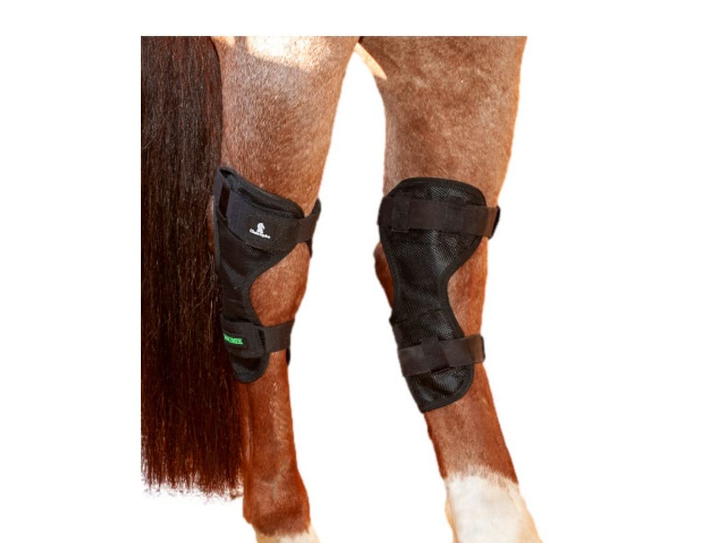 Classic Equine MagNTX Hock Wrap aplicado al corvejón para apoyo cómodo.