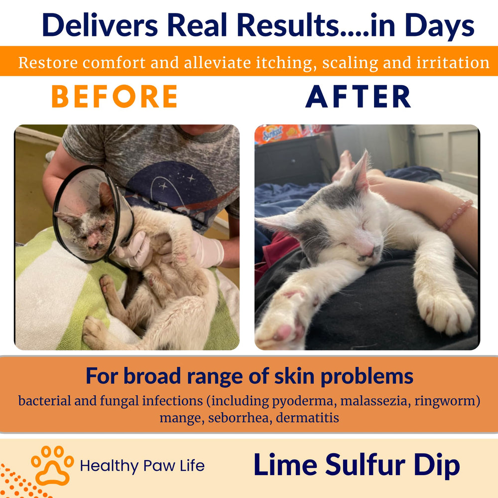 Classic's Lime Sulfur Dip: secado al aire sin enjuague para comodidad.