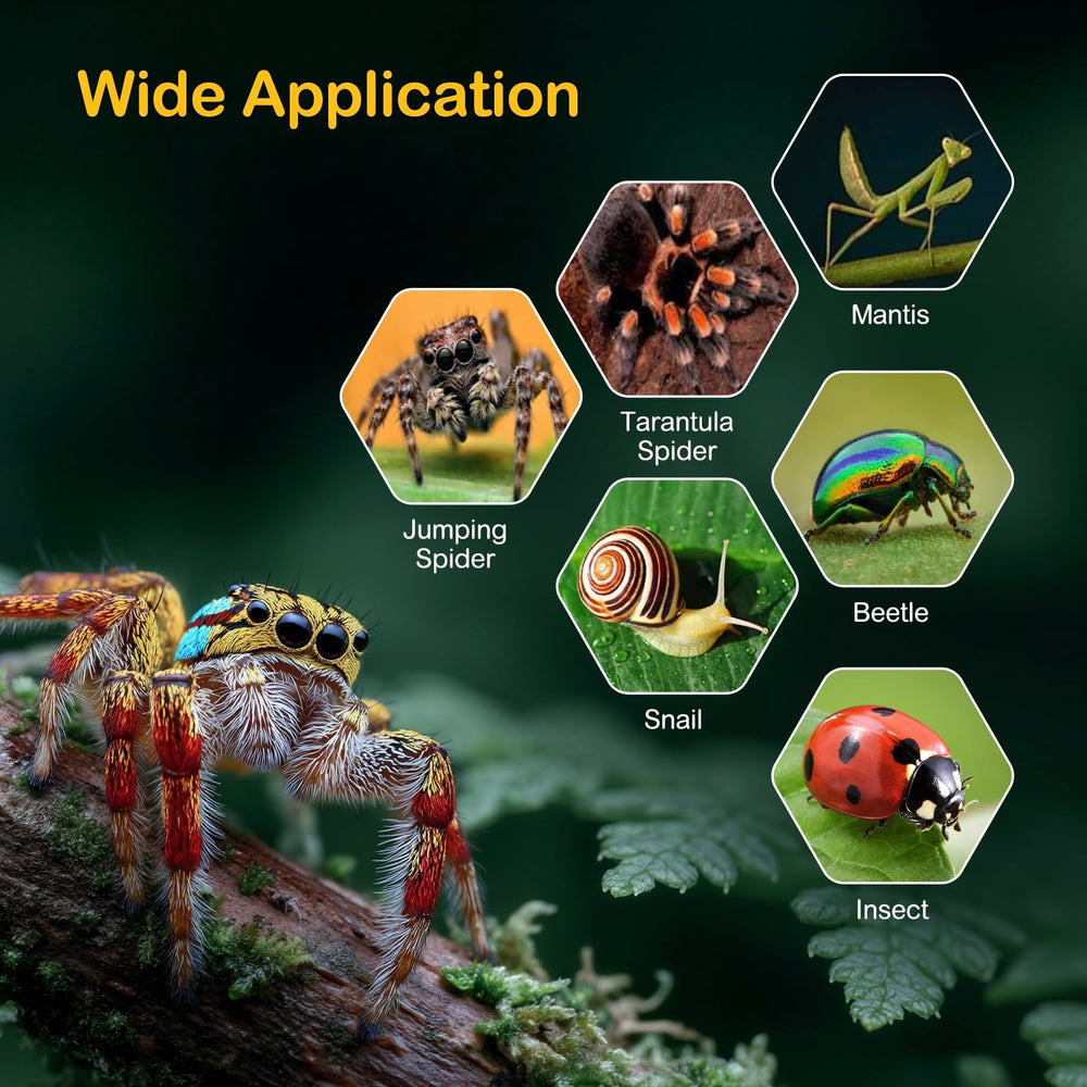 Clioran contenedor inicial para insectos y crías, cómodo y fácil de usar.