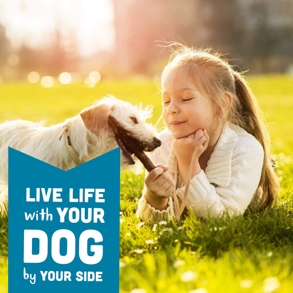Cloud Star Wag More Bark Less sabor cheddar suave para casa o paseo