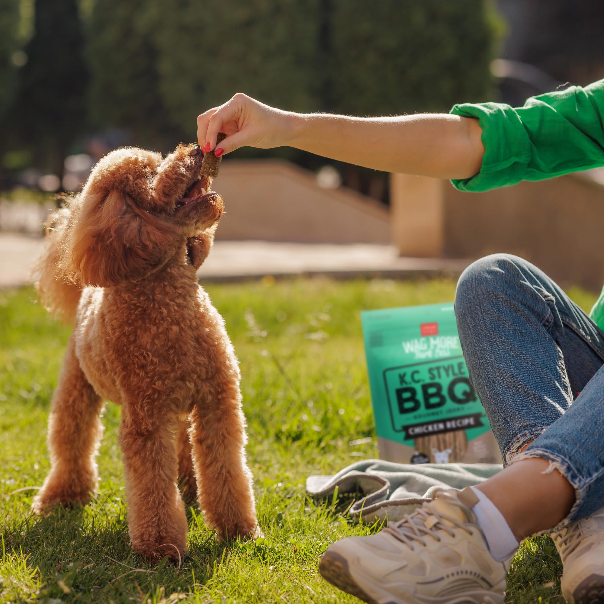 Cloud Star Wag More Bark Less: snack premium para momentos de juego.