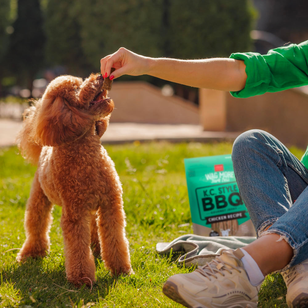 Cloud Star Wag More Bark Less: snack premium para momentos de juego.
