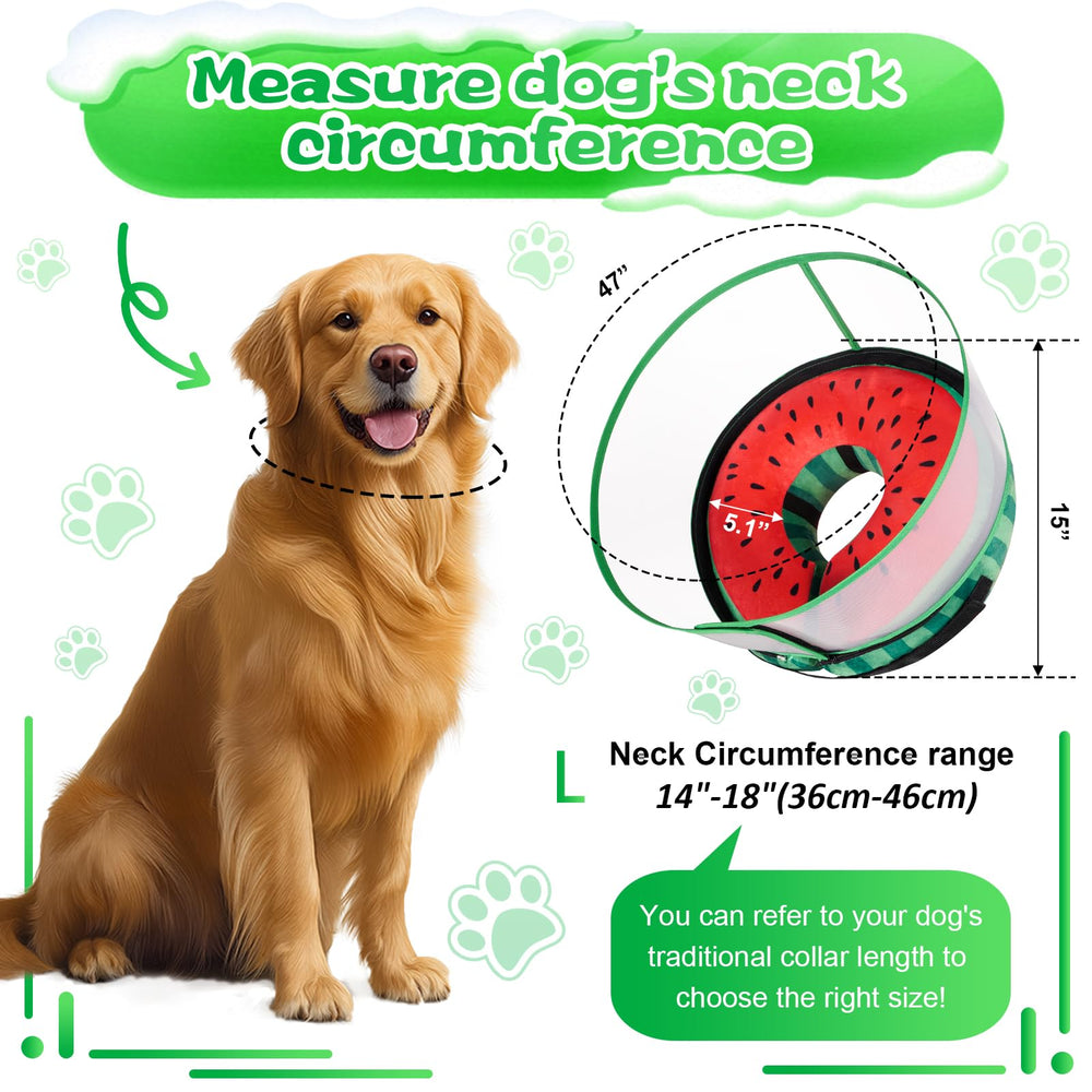 Cono inflable Cneo facilita comer, beber y moverse.