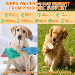 CnidoPetteri envase de probióticos para perros, dosificación diaria de apoyo digestivo.