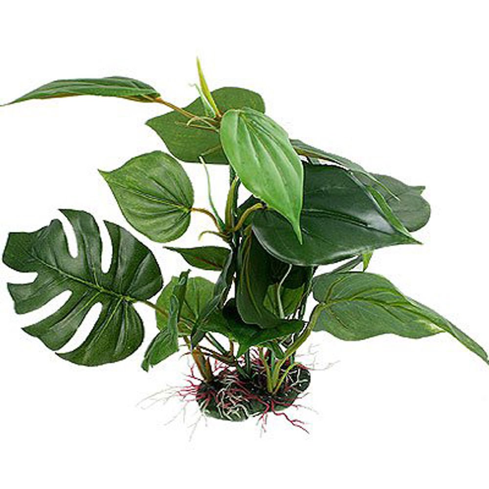 CNZ planta acuario con dimensiones 35 x 26,5 cm para encaje perfecto.
