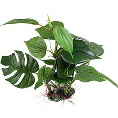 CNZ planta acuario con dimensiones 35 x 26,5 cm para encaje perfecto.