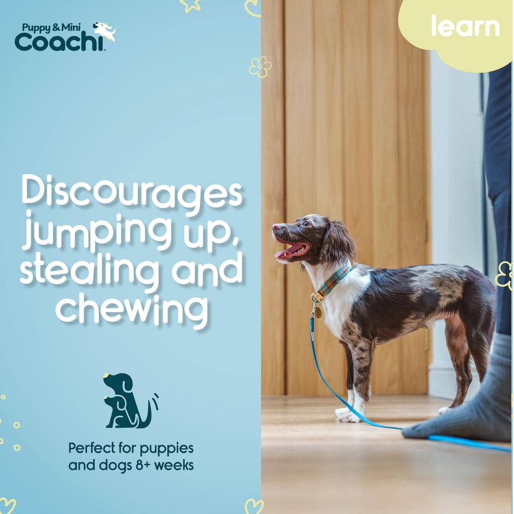 Coachi línea-entrenamiento-cachorros control de entrada para visitas sin saltar
