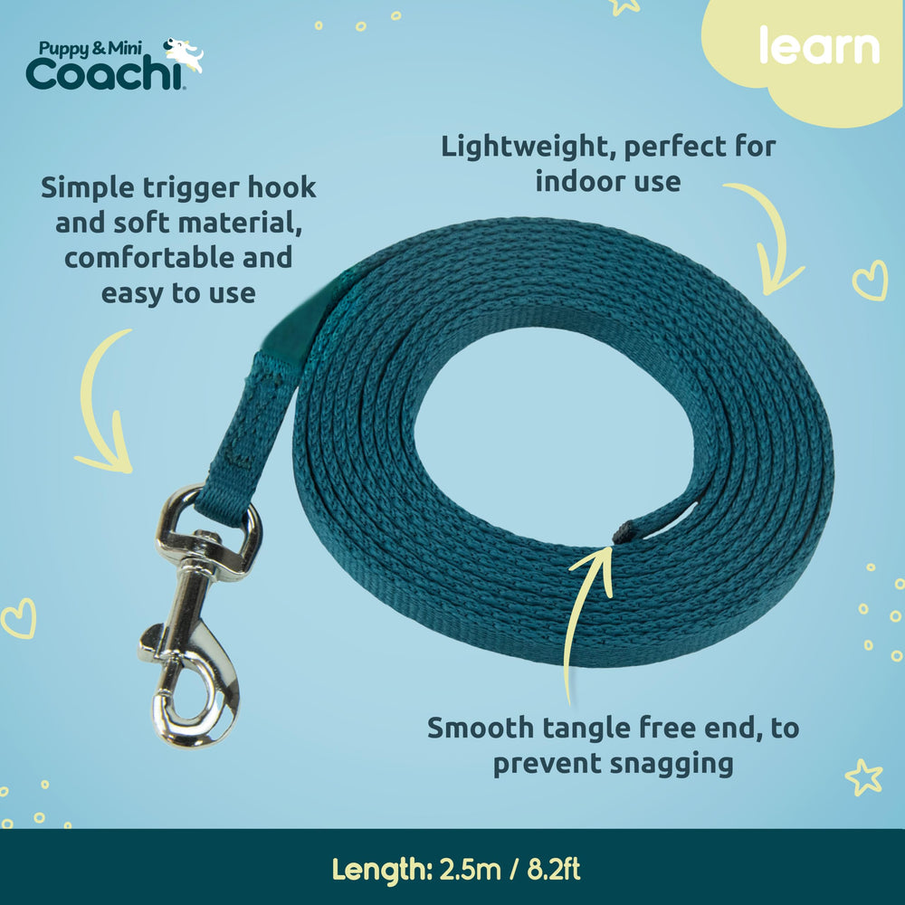 Coachi línea-entrenamiento-cachorros dirigir hábitos positivos durante juegos