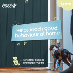Coachi línea-entrenamiento-cachorros interrupción de malos hábitos para reducir travesuras