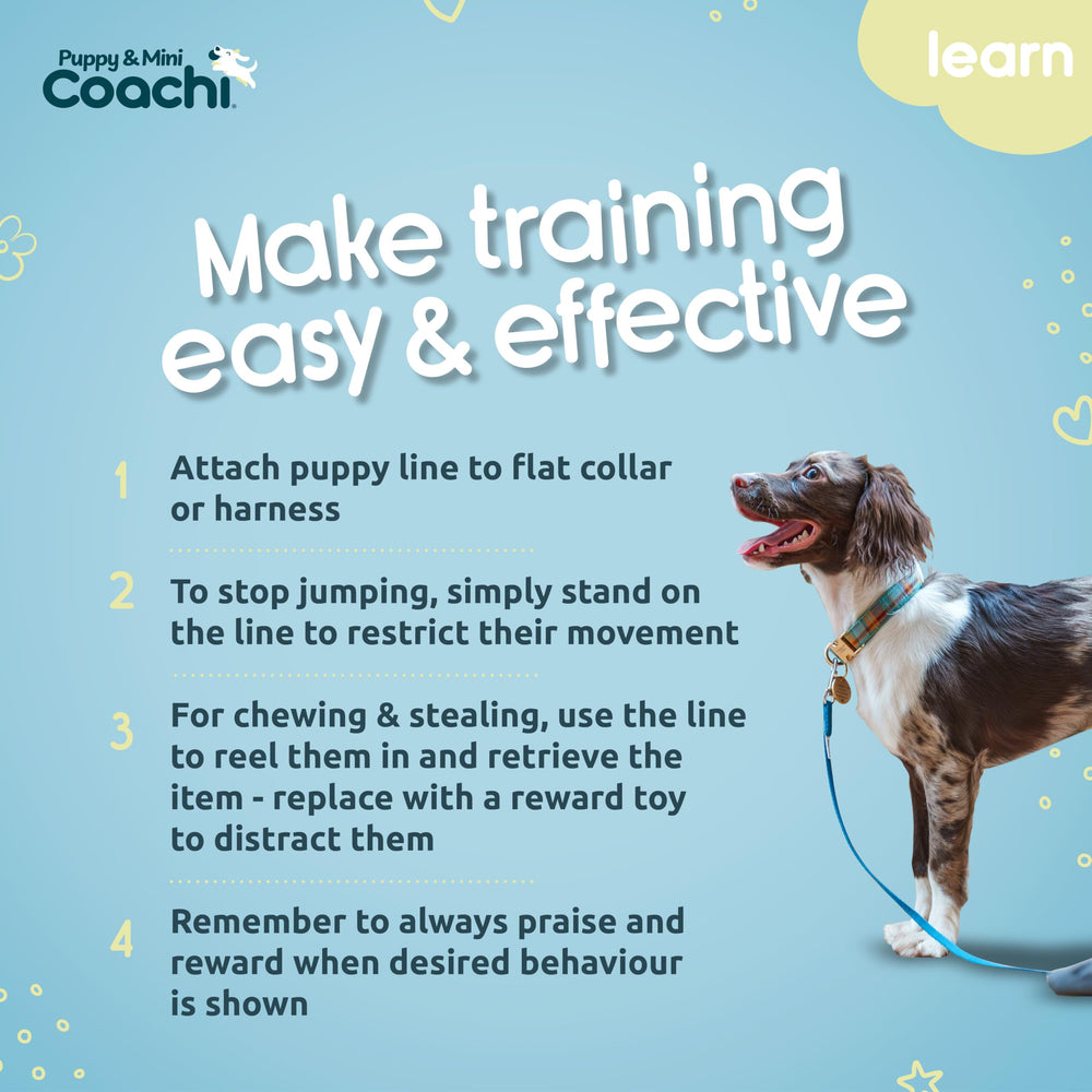 Coachi línea-entrenamiento-cachorros paseo interior para entrenamiento diario