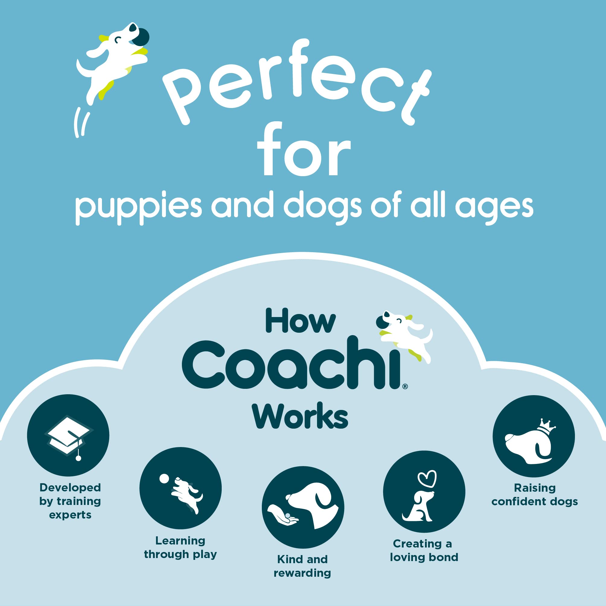 Coachi material resistente para uso diario.