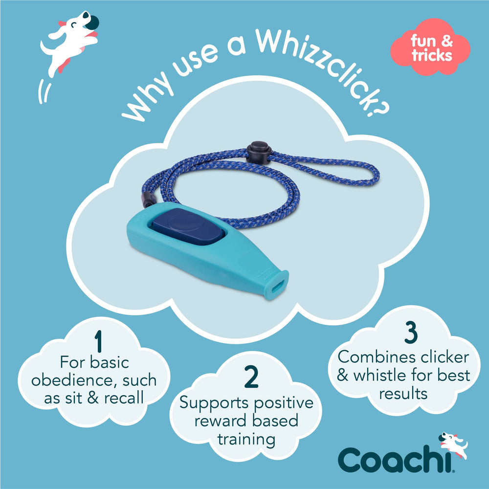 Coachi Whizzclick con cordón reflectante y ajuste para uso cómodo.