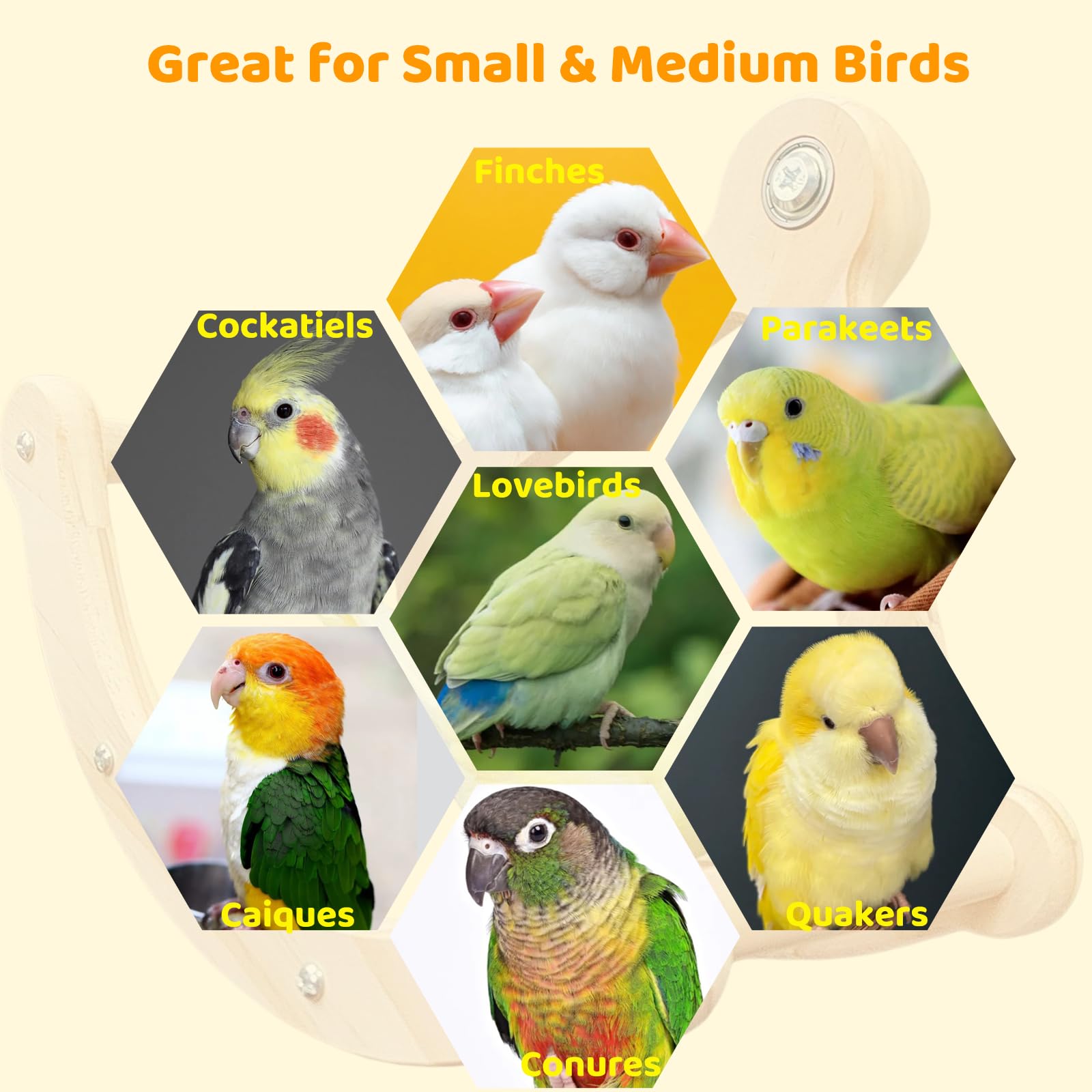 Coalinker aves pequeñas y medianas, percha ideal para parakeets y cockatiels