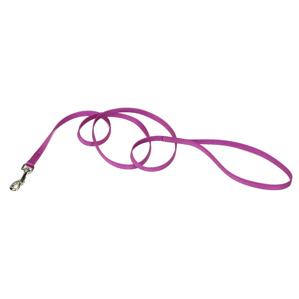 Coastal Pet correa unifilo orquídea de 6 pies, ideal para paseos diarios.