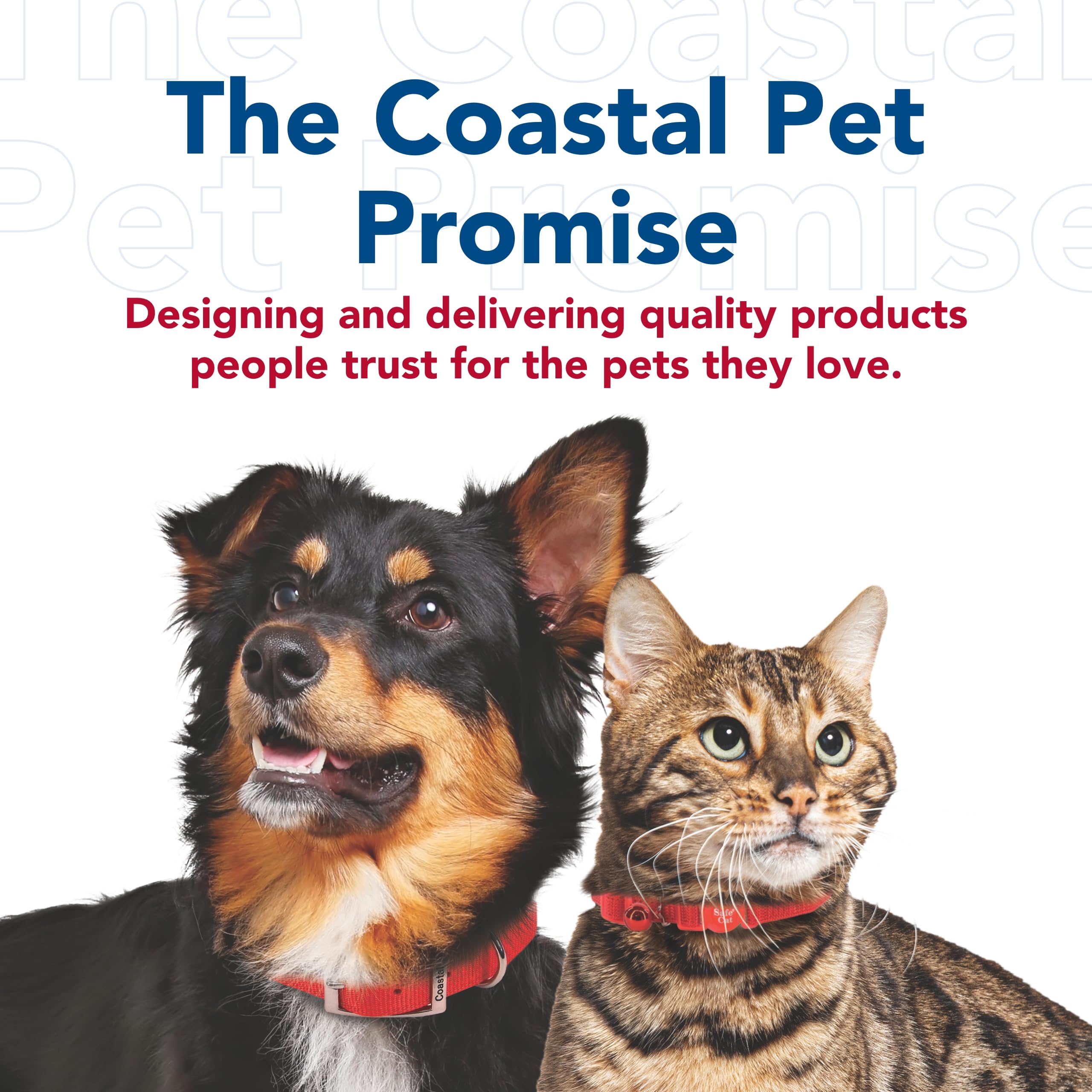 Coastal Pet correa para uso diario, duradera y segura.