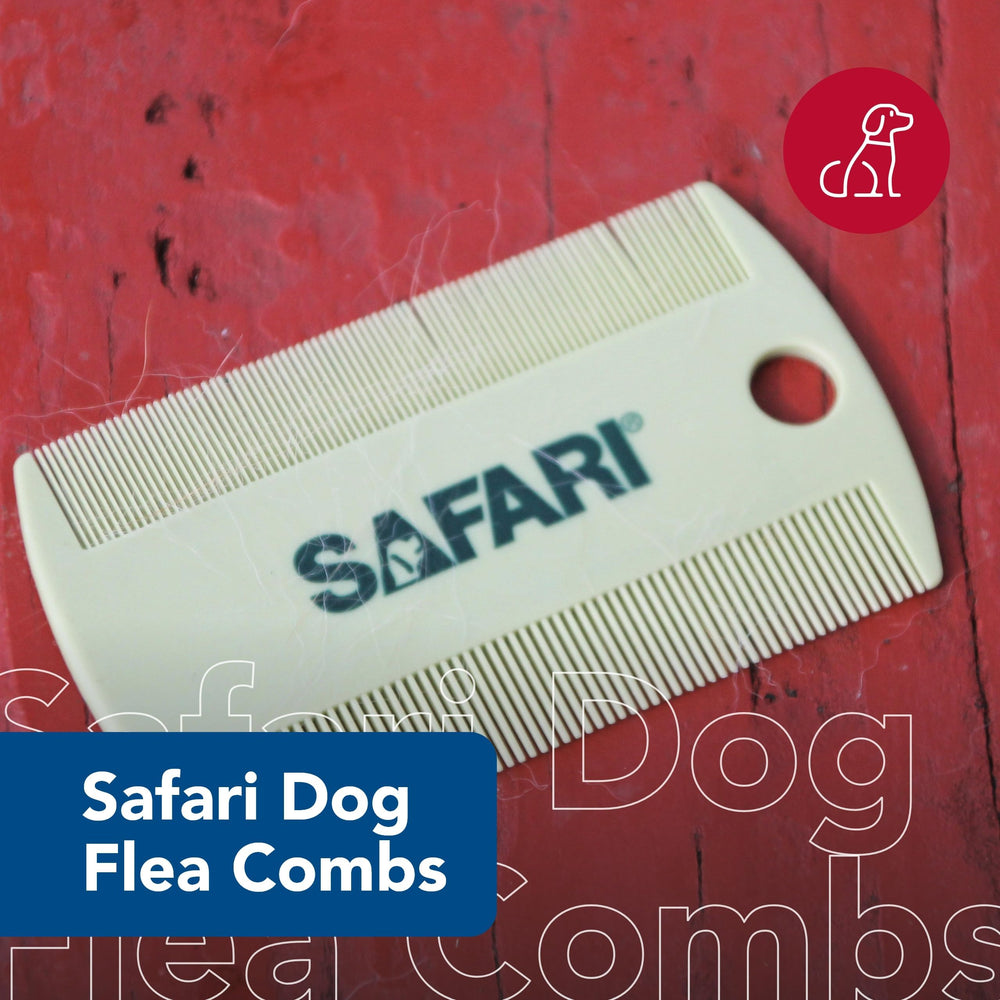 Coastal Safari: útil para detectar piel seca e irritación en el perro.