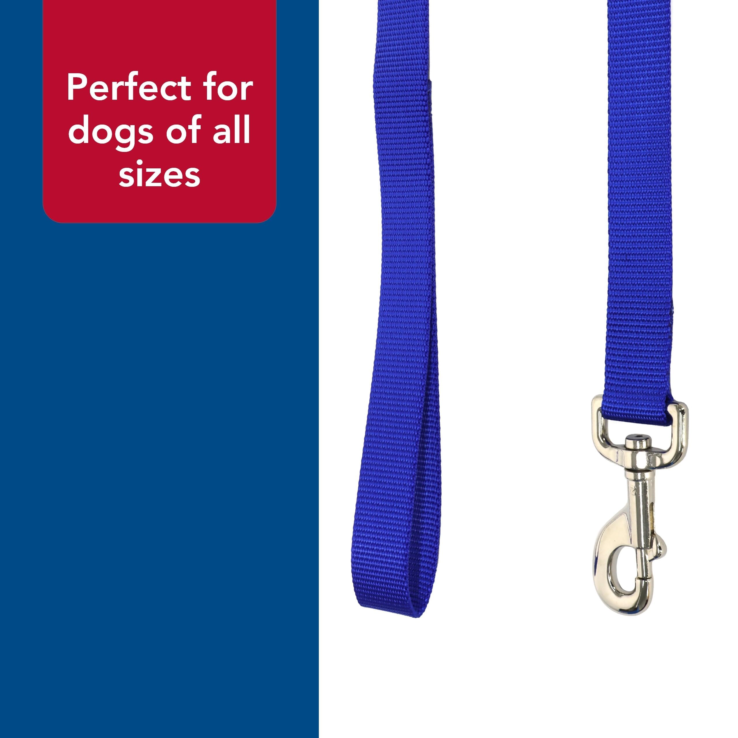 Coastal Pet correa teal, color vibrante para mayor visibilidad