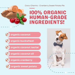 CocoTherapy: beneficios para piel, pelaje y digestión