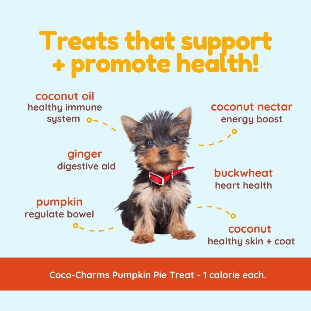 Sin preservantes ni colorantes artificiales, Coco-Charms cuidan el bienestar de perros sensibles.