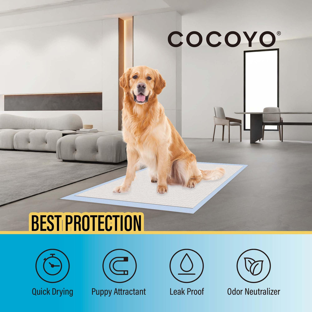 COCOYO núcleo absorbente que convierte la orina en gel para limpieza fácil.