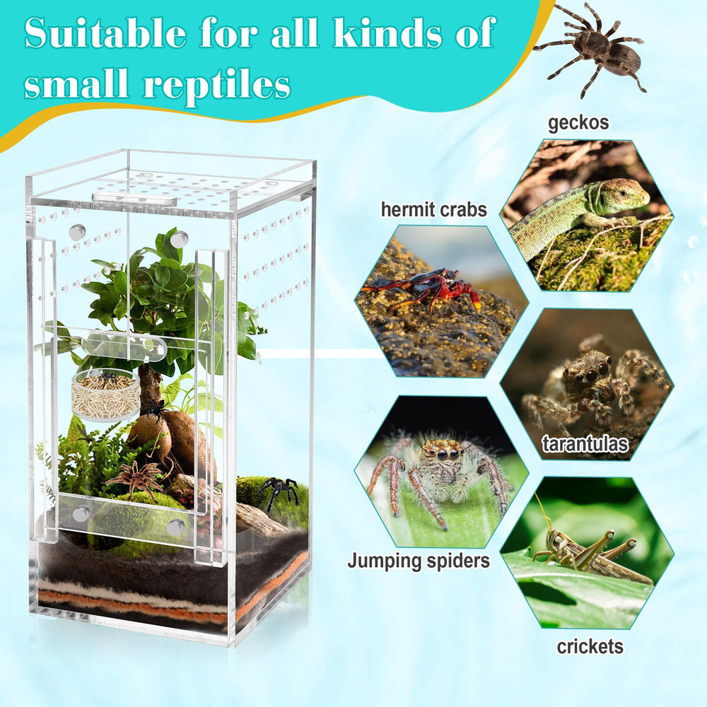 Coldairsoap uso versátil en terrario para alimentación y riego