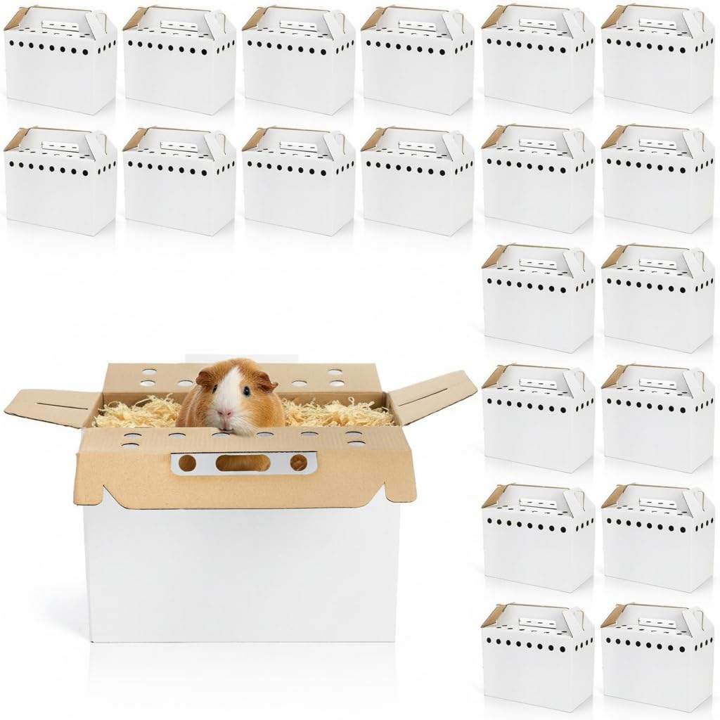 Coloch transportín cartón para mascotas pequeñas con asa superior para viaje seguro.