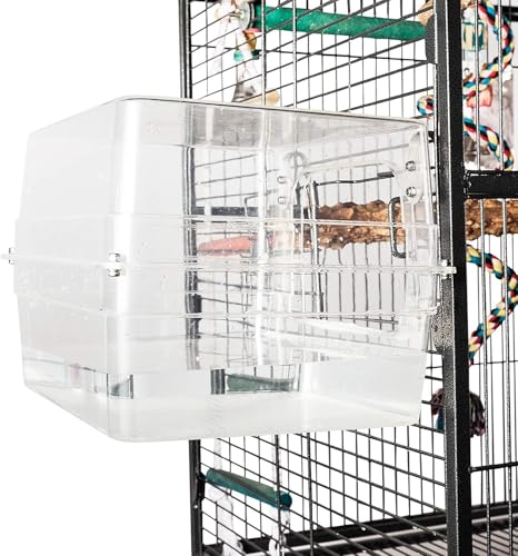 Colorday baño de aves con área de juego: entretenimiento y baño en uno.