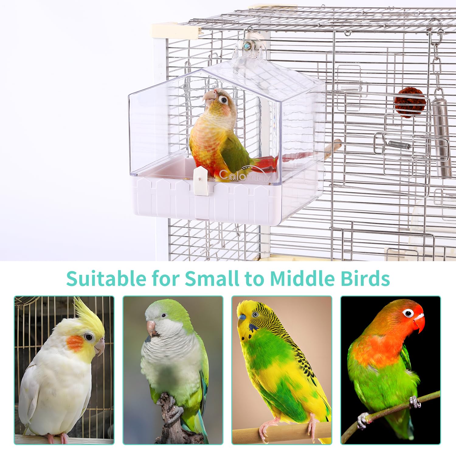 Colorday Bano-aves-materiales-no-toxicos seguridad y durabilidad para uso diario.