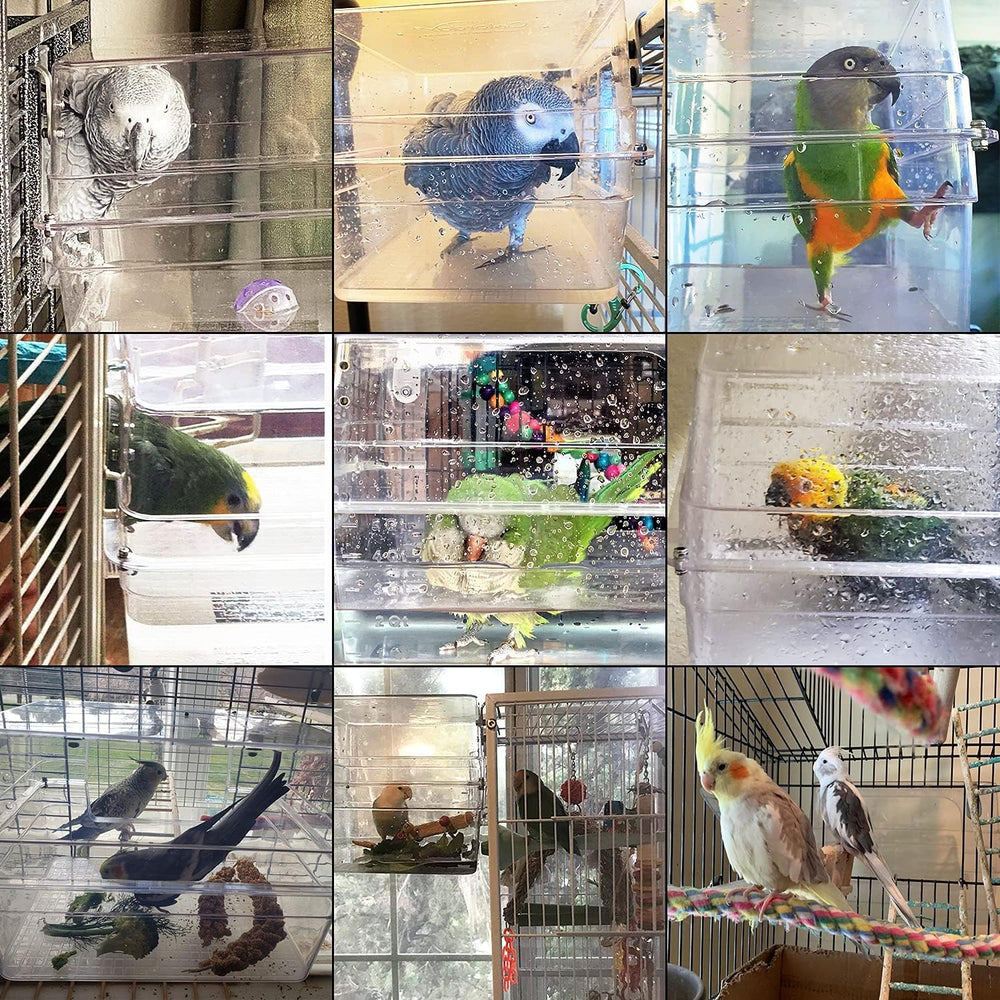 Colorday baño para aves sin salpicaduras: mantiene el área más limpia.