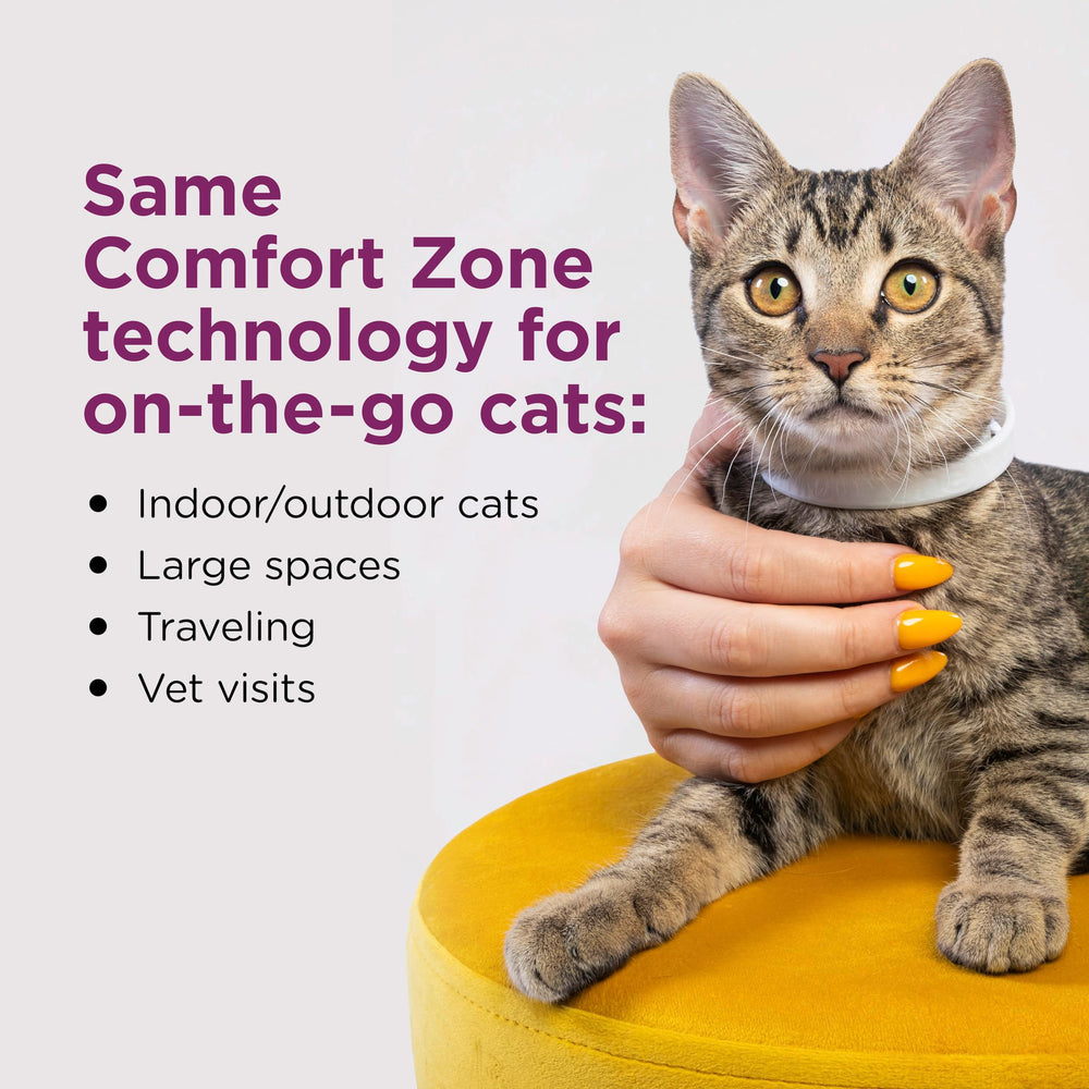 Collar calmante Comfort Zone para gatos, práctico durante viajes y cambios de rutina.