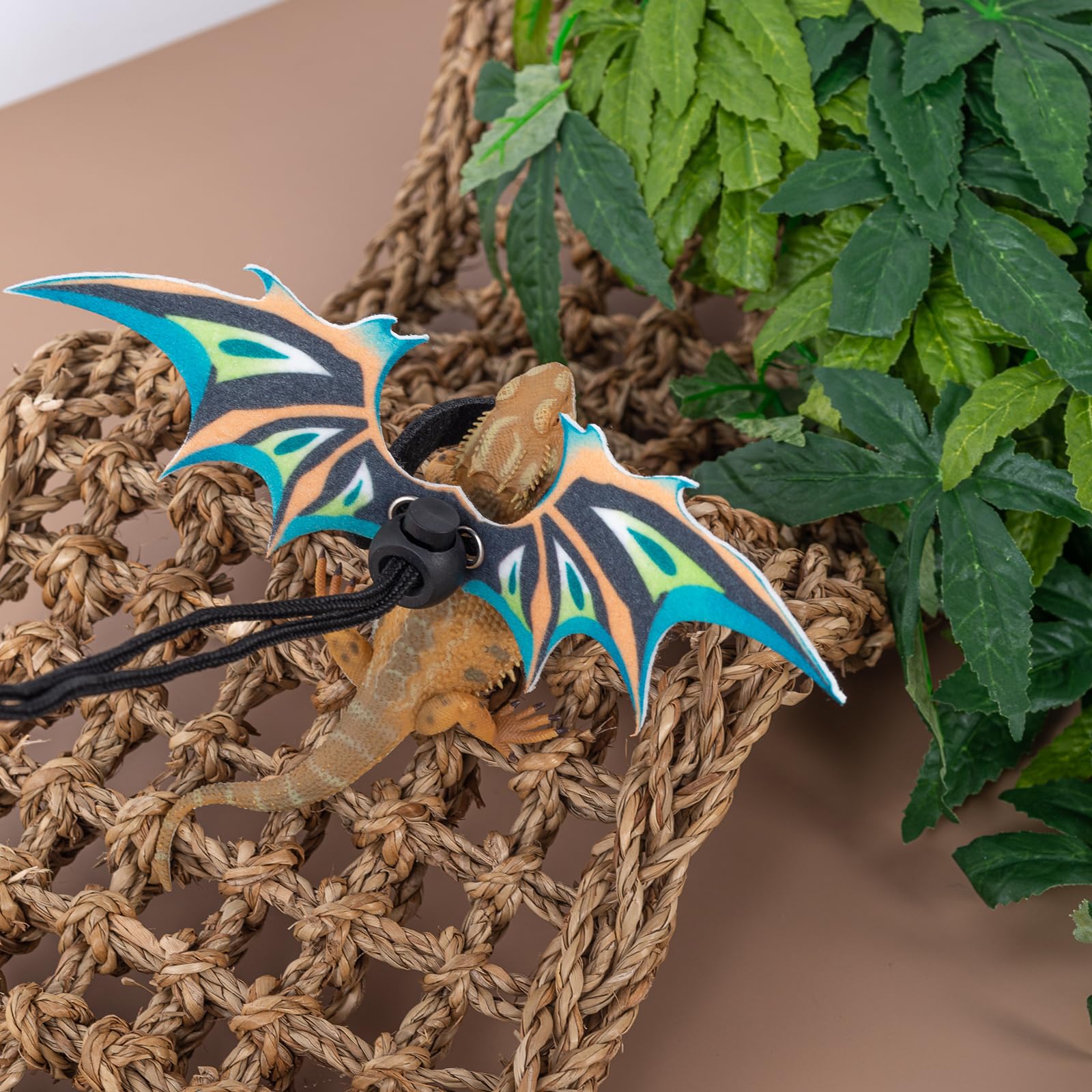 Correa para dragon-barbudo COMSUN, longitud adecuada para exploración en exterior.