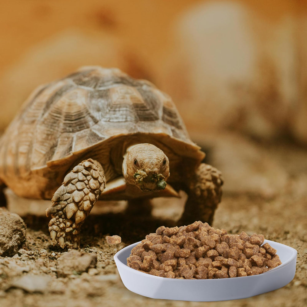 COMSUN plato-facil-limpieza-reptil blanco gris, superficie lisa para higienizar.
