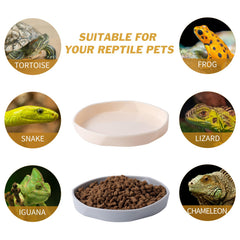 COMSUN plato-versatil-reptil blanco gris, apto para geckos, lagartos y otros reptiles pequeños.