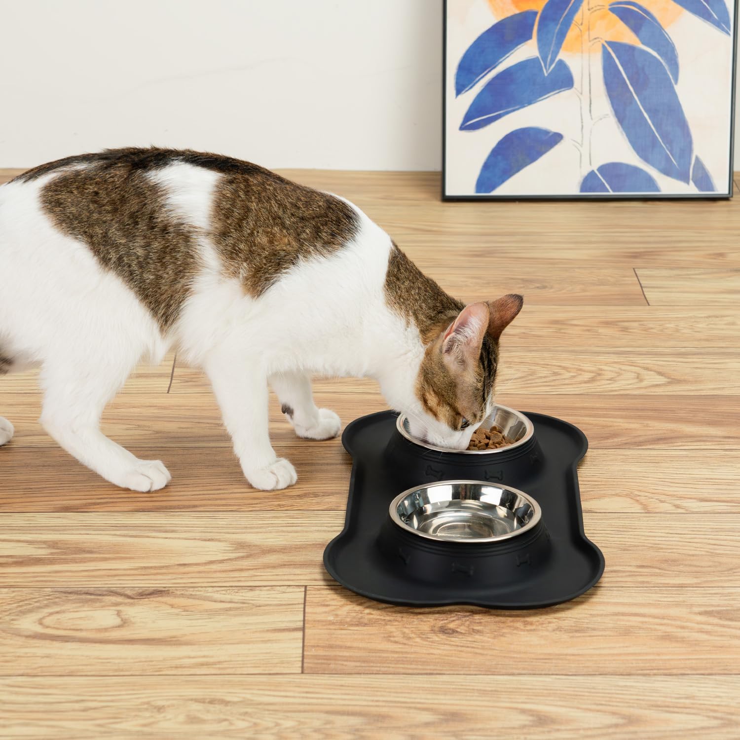 Conlun kit completo para alimentación de mascotas pequeñas, solución práctica.