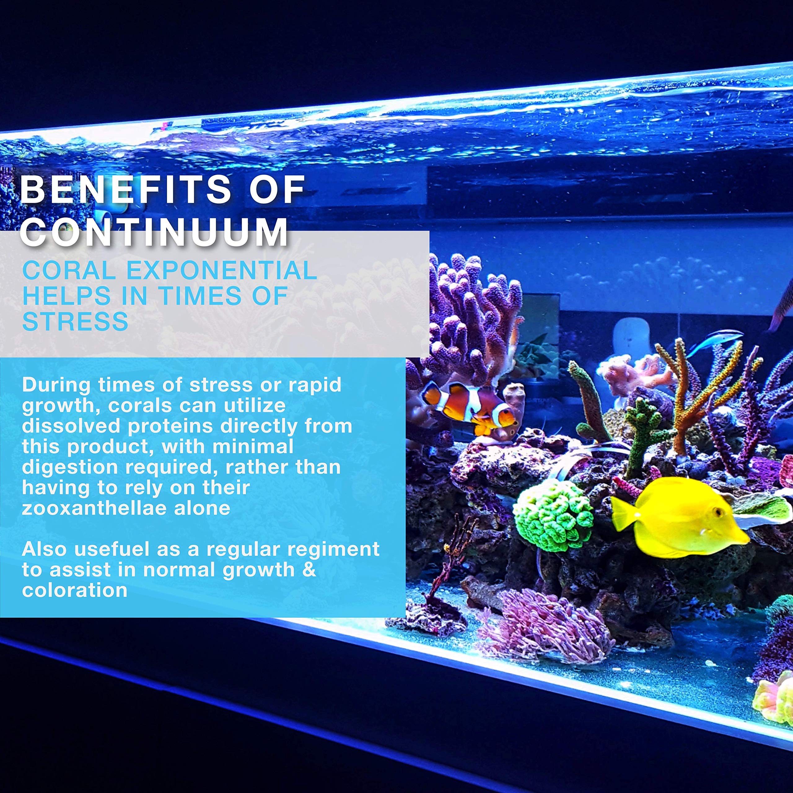 Continuum Aquatics Coral Exponential, uso nocturno para alimentación de corales en arrecife.