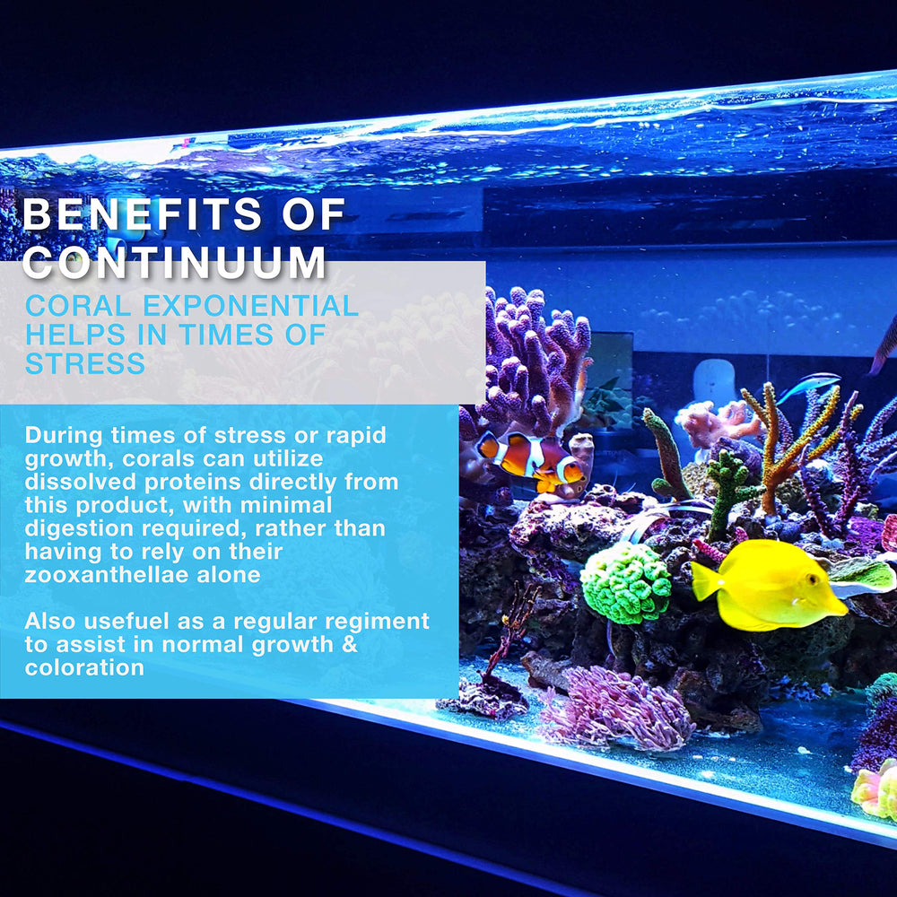 Continuum Aquatics Coral Exponential, uso nocturno para alimentación de corales en arrecife.