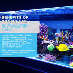 Continuum Aquatics Coral Exponential, uso nocturno para alimentación de corales en arrecife.