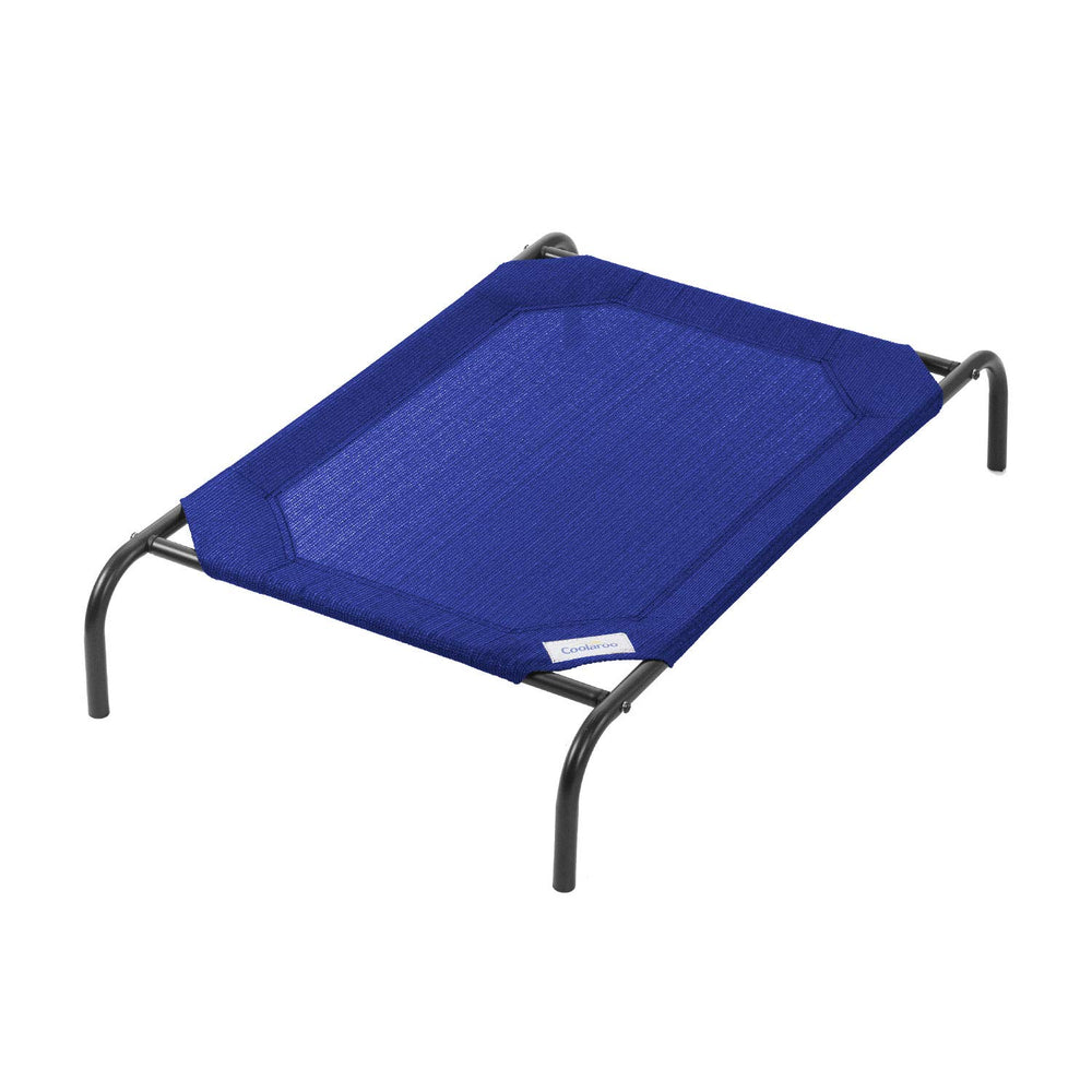 Cama Coolaroo elevadora para perros, aireada y cómoda en color aguamarina.