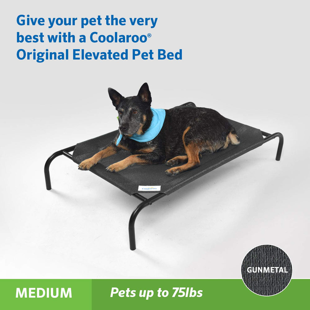 Coolaroo cama con soporte de articulaciones para perros de todas las edades.