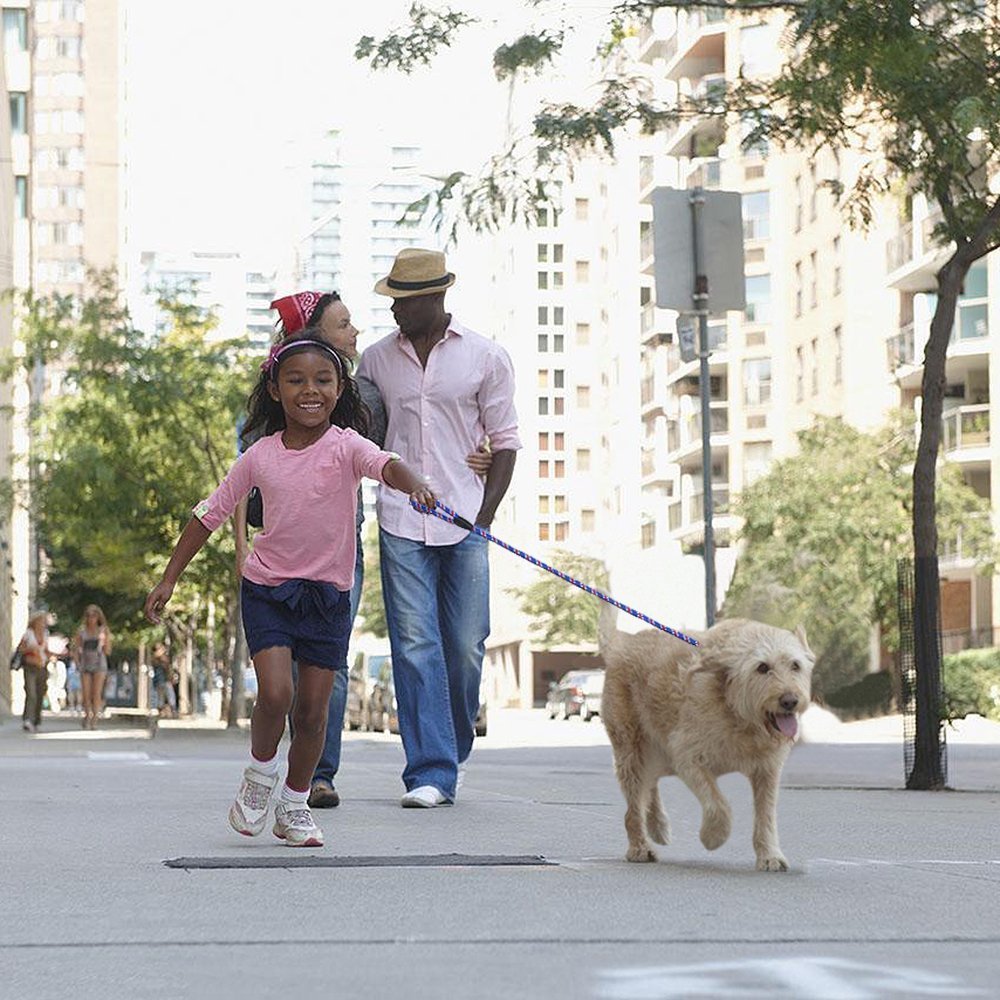 Coolrunner correa para uso diario, ideal para paseos cortos o caminatas largas.