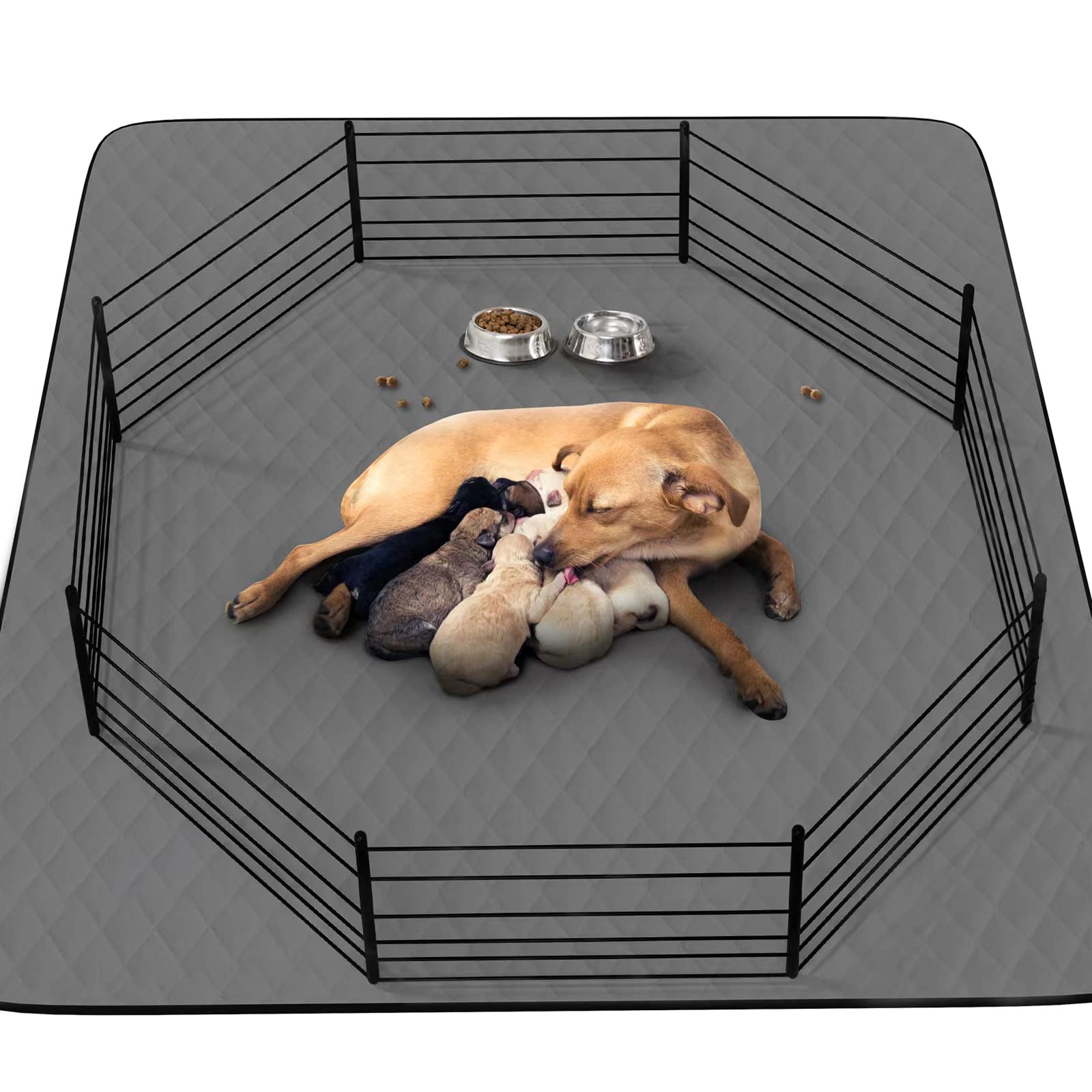 CoolShields almohadilla para pis perros 48x65, absorbente