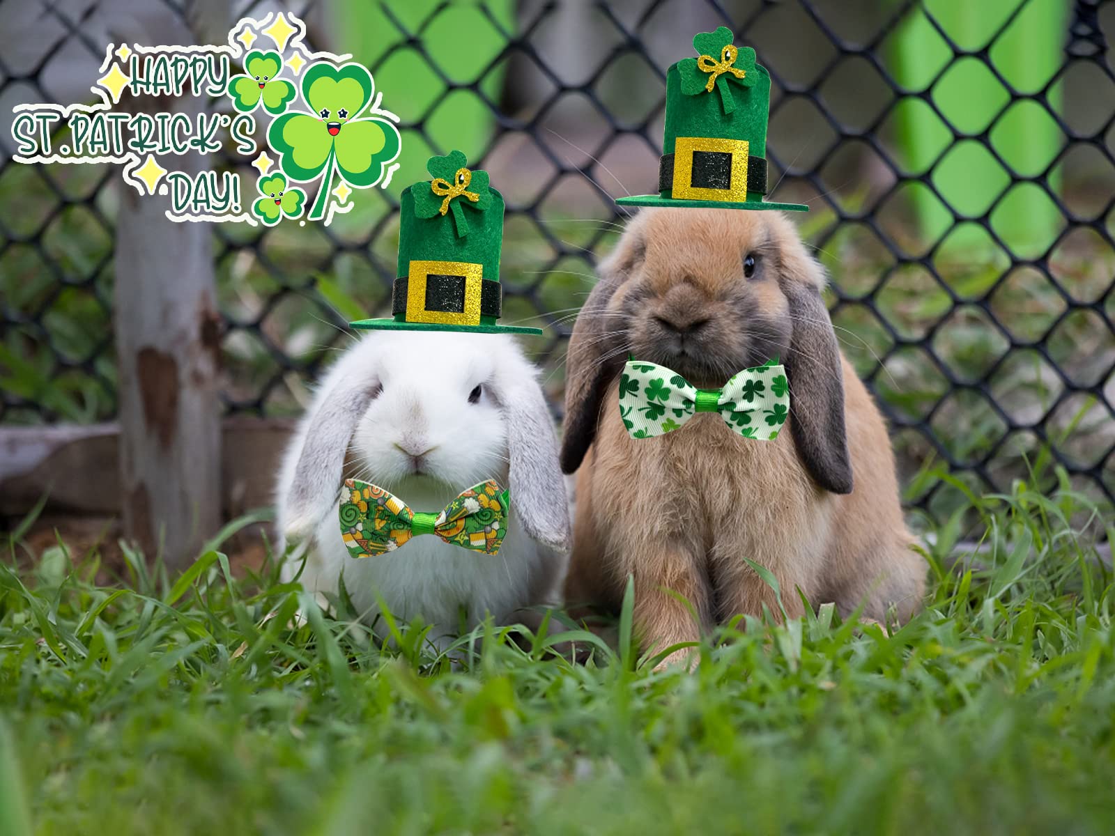 CooShou lazo San Patricio para conejo con campana, uso cómodo y festivo.