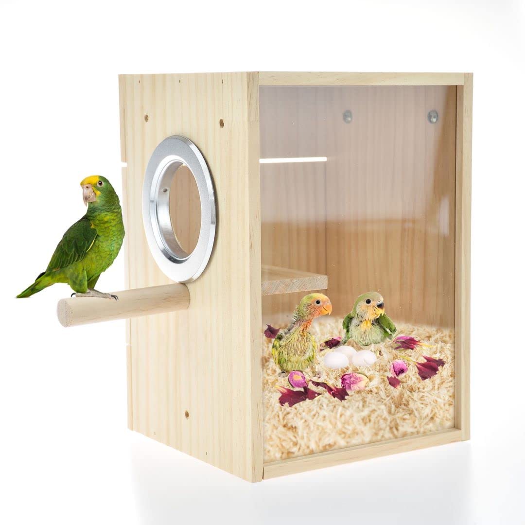 CooShou nido para loros con acrílico transparente para observar el comportamiento